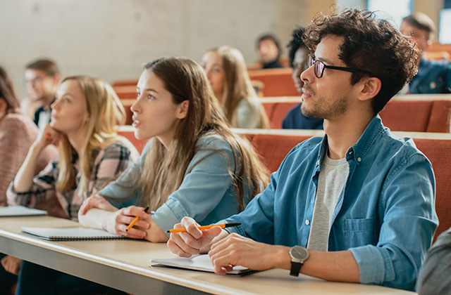 Schooluniversity 206335315